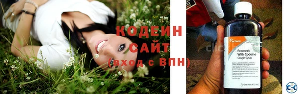 молекула духа Богородицк