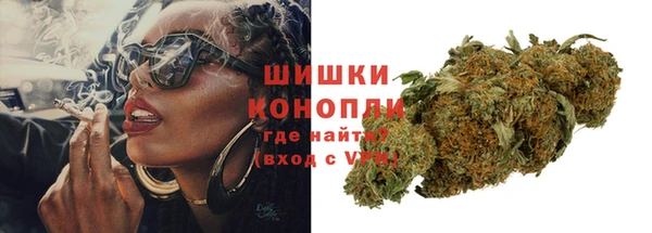 ECSTASY Богданович