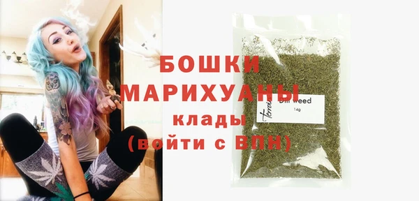 ECSTASY Богданович