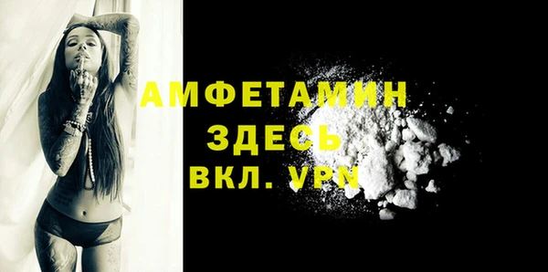 молекула духа Богородицк