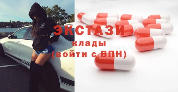 ECSTASY Богданович