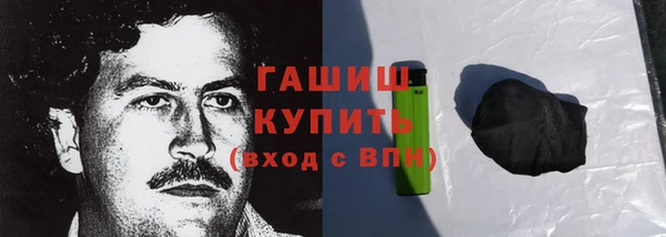 молекула духа Богородицк