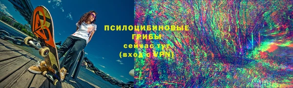 ECSTASY Богданович