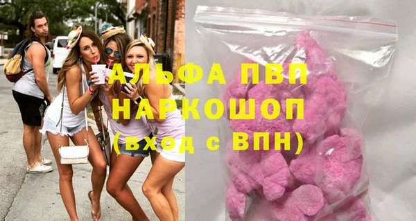 молекула духа Богородицк