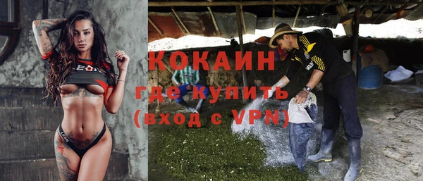 молекула духа Богородицк