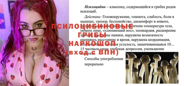 молекула духа Богородицк