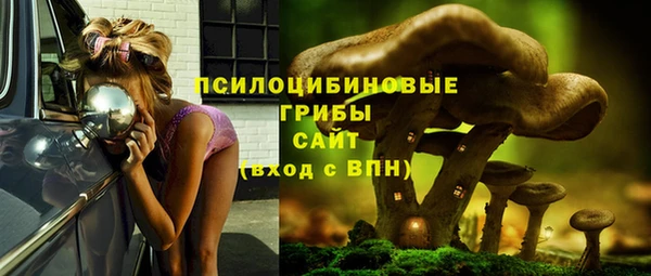 2c-b Бородино