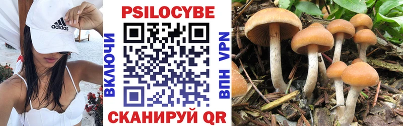 Галлюциногенные грибы Psilocybine cubensis  Новосиль 